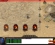 [Gm�汾��]2026��9������΢�䵥ְҵ��������|������԰|Զ���й�|Gom����